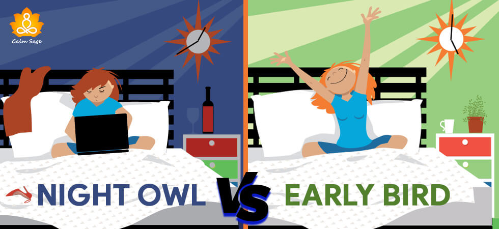 night owl Vs early bird