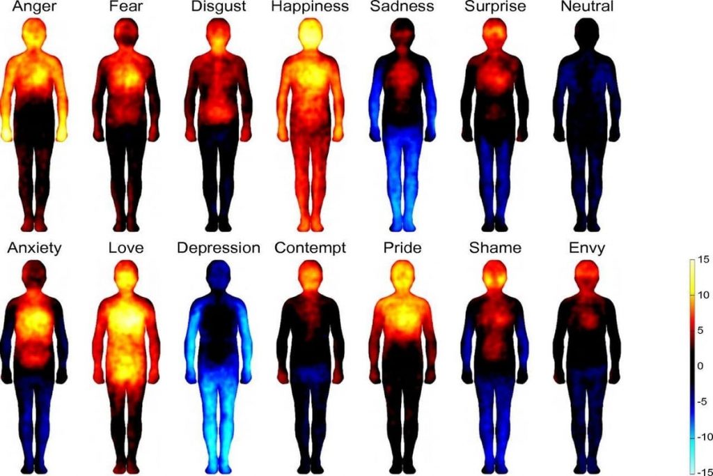 Where Emotions Are Felt In The Body