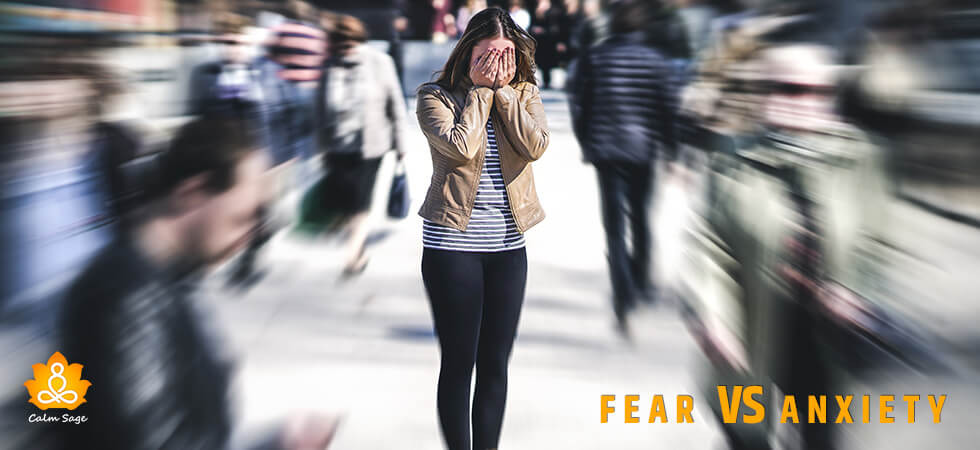 Fear vs Anxiety