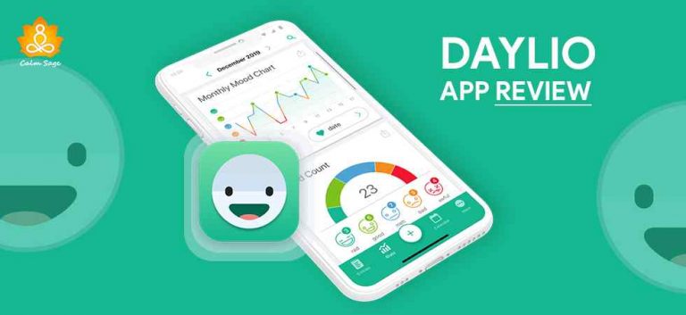 Daylio At A Glance (Daylio App Review)