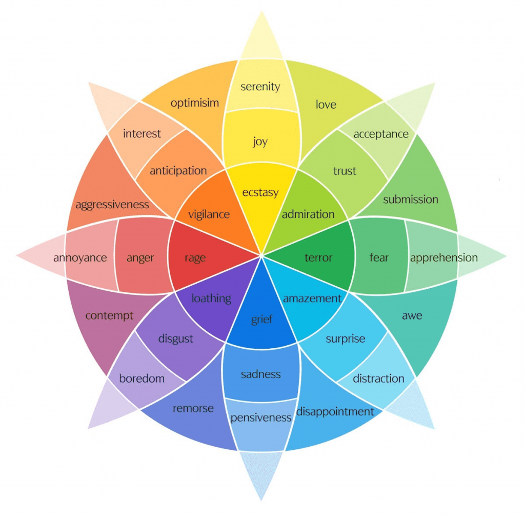 The Emotion Wheel: Primary Emotions, Benefits & How To Use It!