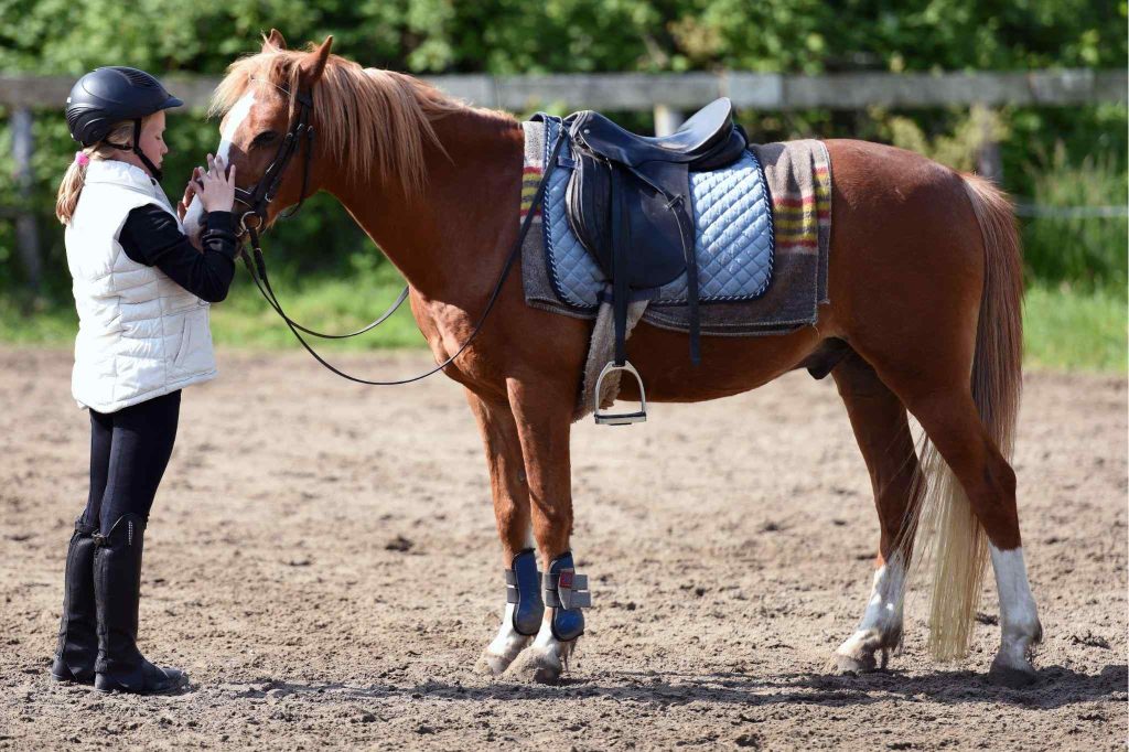 Equine-Assisted