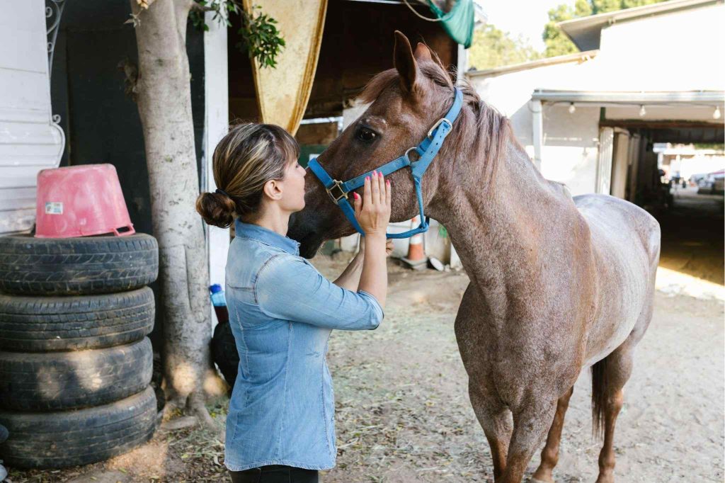 equine-therapy