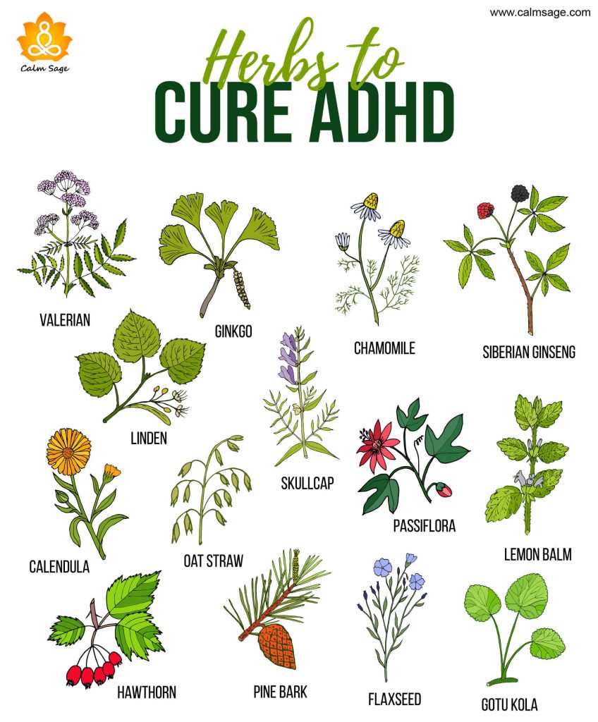 herbs to cure adhd