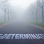 How Self-Determination Theory Influences Motivation