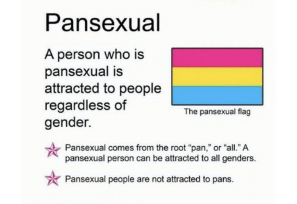 Pansexual meaning