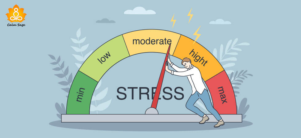 Hormetic Stress