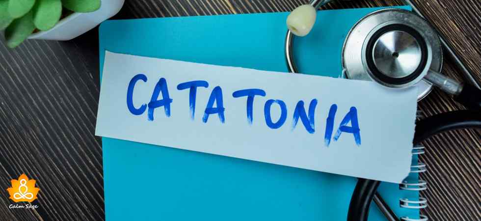 What is catatonia