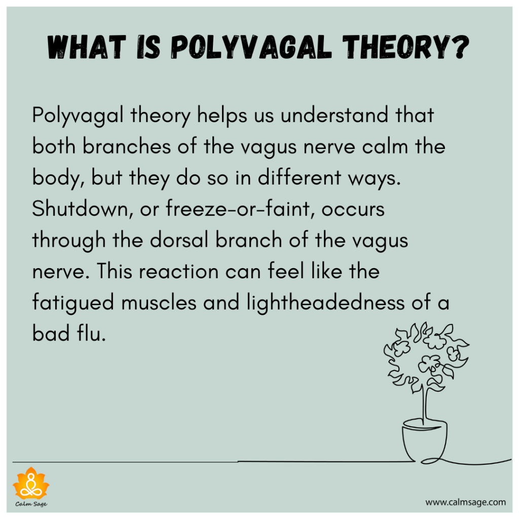 What Is Polyvagal Theory