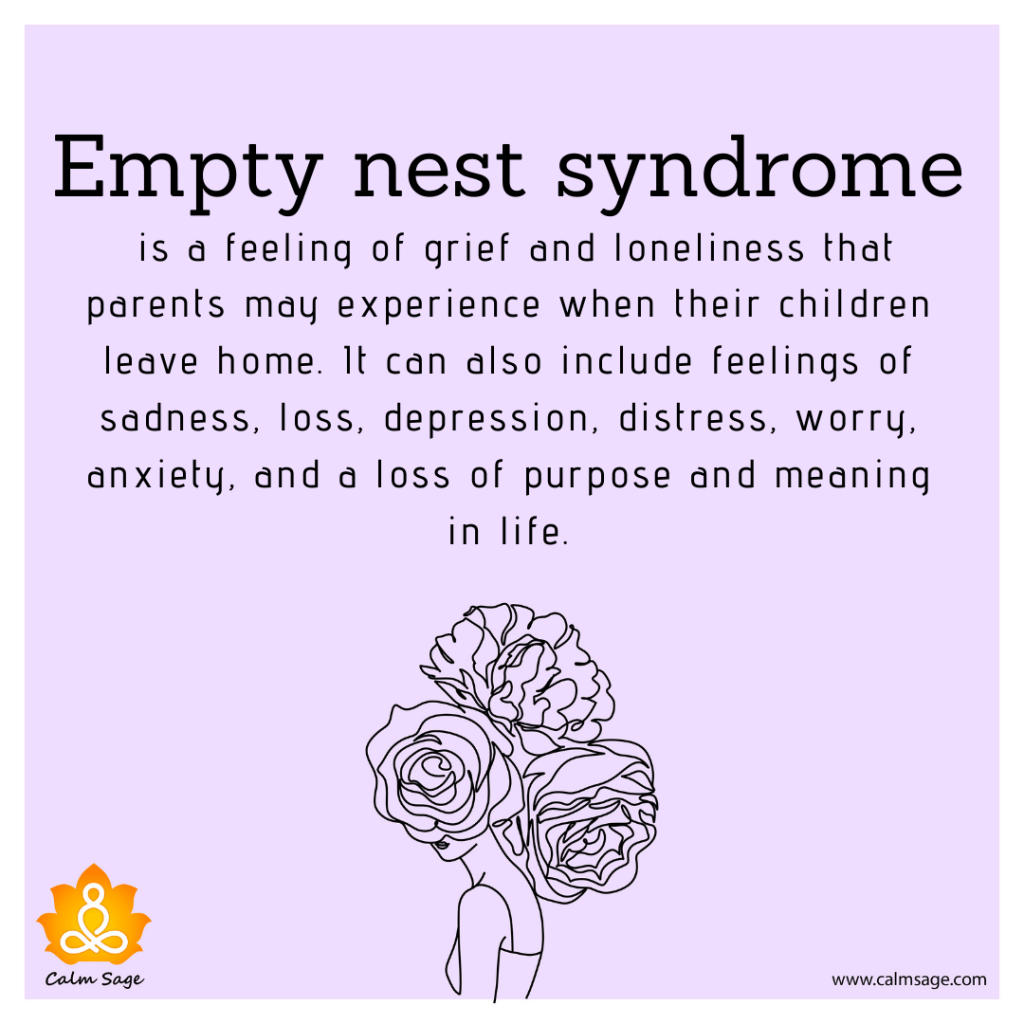 Empty nest syndrome meaning