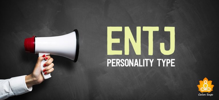 Exploring Commander Type Extraverted Intuitive Thinking And Judging Entj Exploring Commander Type Extraverted Intuitive Thinking And Judging Entj