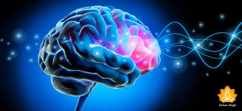 Reaction Formation In Psychology - What is It And How To Recognize It